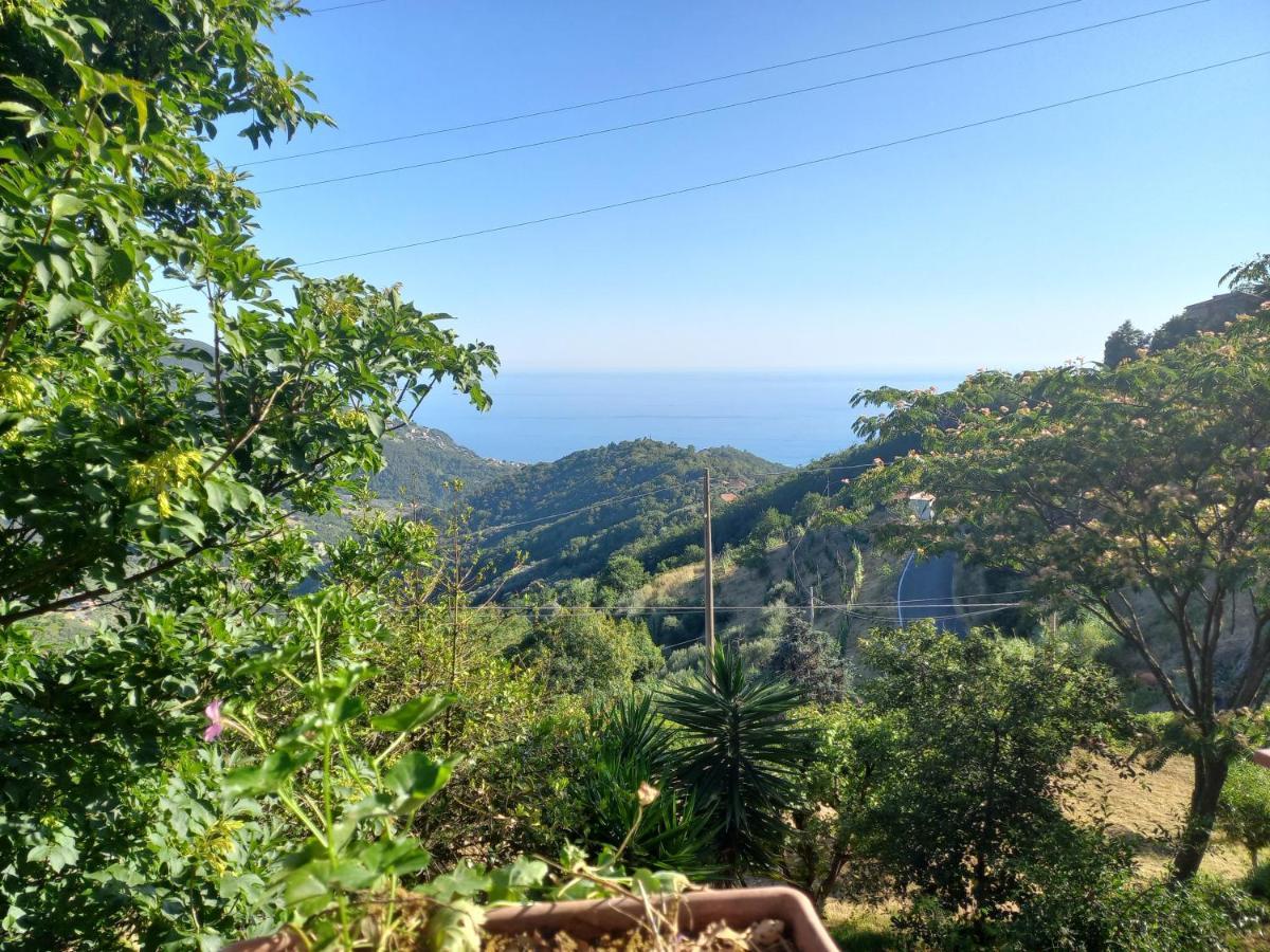 Cinque Terre & Portofino Lodge-Dependance Bracco Moneglia Εξωτερικό φωτογραφία