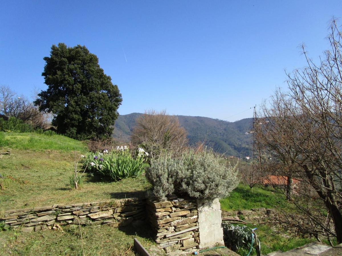 Cinque Terre & Portofino Lodge-Dependance Bracco Moneglia Εξωτερικό φωτογραφία