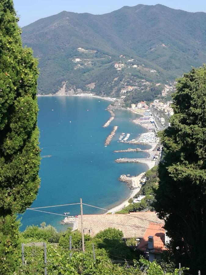 Cinque Terre & Portofino Lodge-Dependance Bracco Moneglia Εξωτερικό φωτογραφία